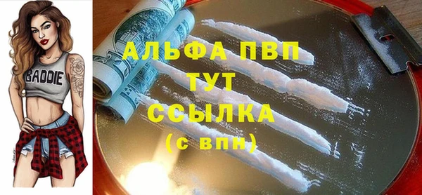 тгк Алзамай
