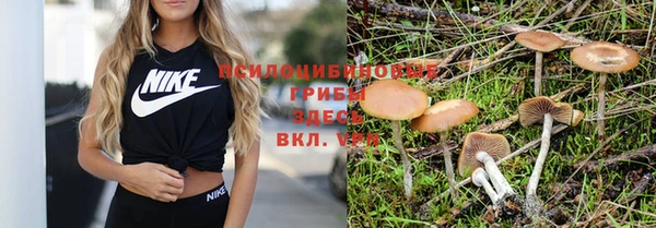 ALPHA PVP Покров