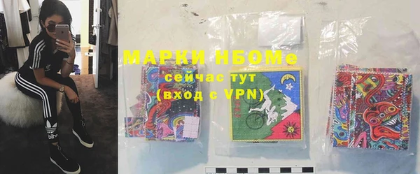 гидра Покачи